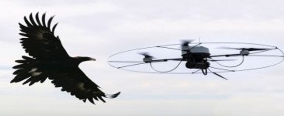 Norveç Kartalı NATO Dronunu Düşürdü