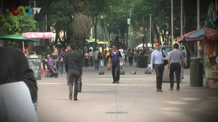 Dr. Luis Rubio. Propiedad y desarrollo