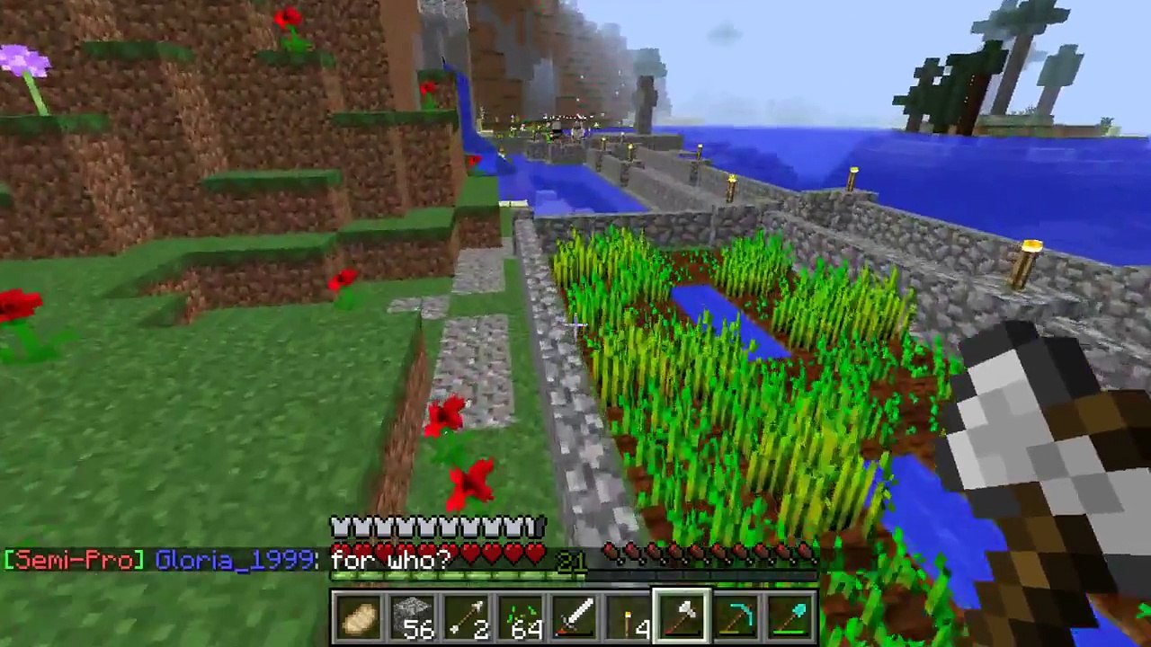 Play Minecraft 12