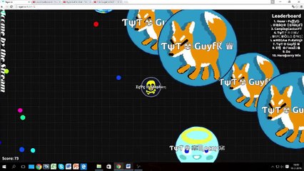 Agar.io Playout 9