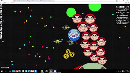 Agar.io Playout 8