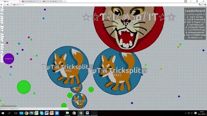 Agar.io Playout 7