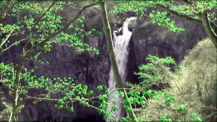 【心霊】本当にあった恐怖の映像22【オカルト】