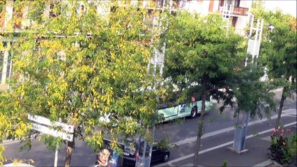 Heuliez GX317 N°178 et VanHool NewA330 N° 272 Fil Bleu