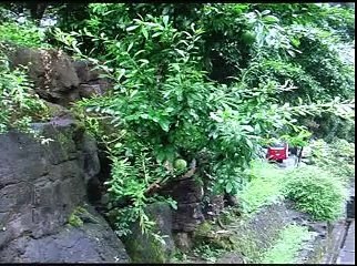 Borobudur & Nabi Sulaiman 02