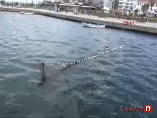 Vatandaşı panikleten rengin nedeni belli oldu