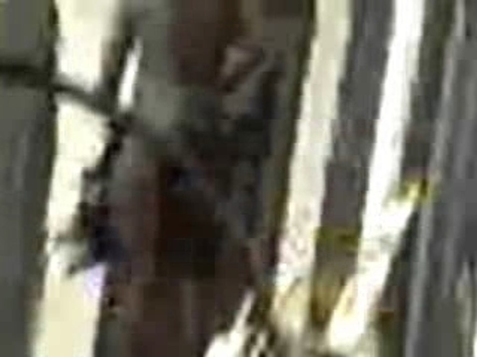 Rodney running