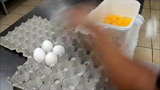 Egg Trick hack - 100 eggs cracked