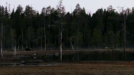 Загадочная природа015