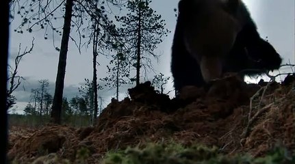 Загадочная природа017