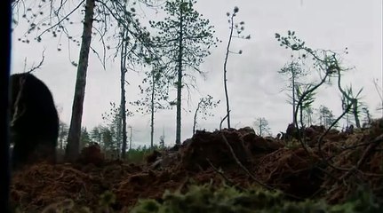 Загадочная природа019