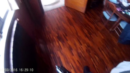 G36 colpo singolo e raffica