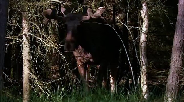 Загадочная природа041