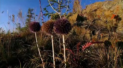 Загадочная природа073