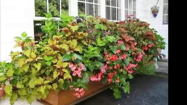 Ящики для цветов