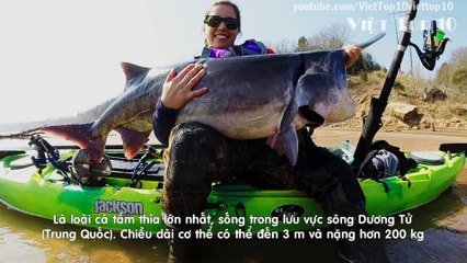 Top 10 Loài Thủy Quái Nước Ngọt Lớn Nhất Hành Tinh