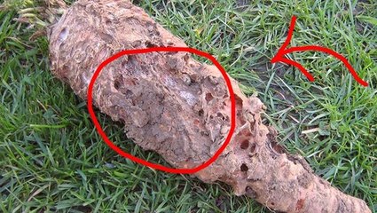 Consomes 5 litros deste veneno por ano sem saber! É chocante o motivo!
