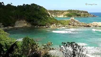 Загадочная природа119