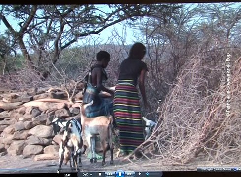 U Boru otvorena smotra 24. Međunarodnog festivala etnološkog filma, 10. mart 2016. (RTV Bor)
