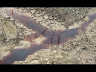 Andria - Sversava liquami nei terreni confinanti, denunciato titolare frantoio (10.03.16)