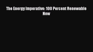 Read The Energy Imperative: 100 Percent Renewable Now Ebook Free