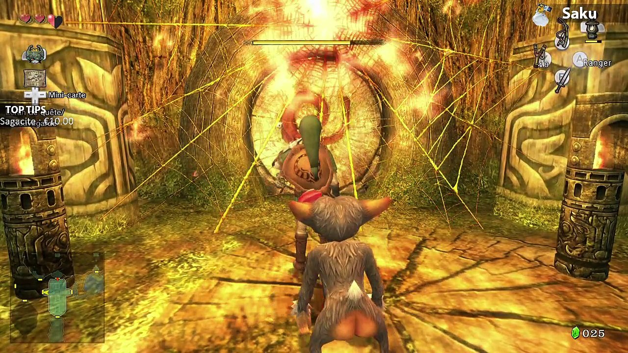 Zelda Twilight Princess HD #6