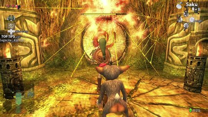 Zelda Twilight Princess HD #6