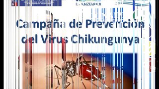 Campaña de prevención del virus chikungunya o virus chik / 1