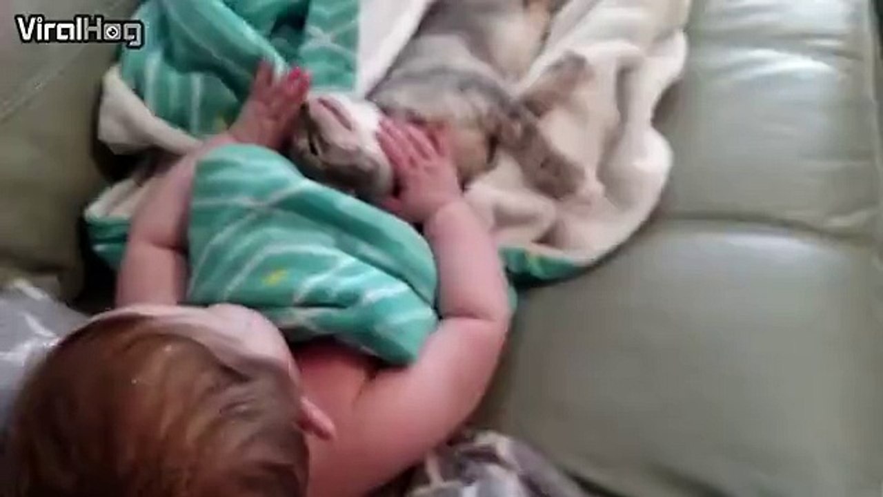 An 8 month old daughter and her new kitten