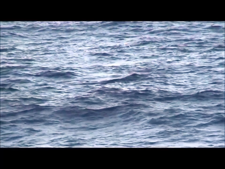 TJ Costelloe Sonambulance