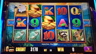 NEW Eagle Pays slot machine, Live Play & 3 Extra Wild Bonuses, Nice Win