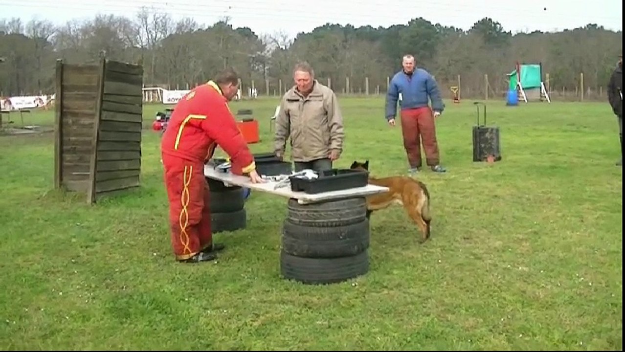 Gadjo du Domaine de Vauroux, Mondioring 2, Mérignac 2016