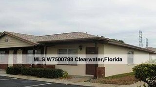 24862 U.S. Highway 19 N # 1106 Clearwater Florida