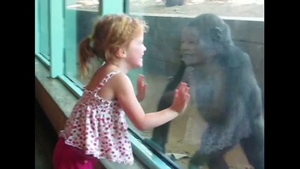 Kids At The Zoo- Compilation