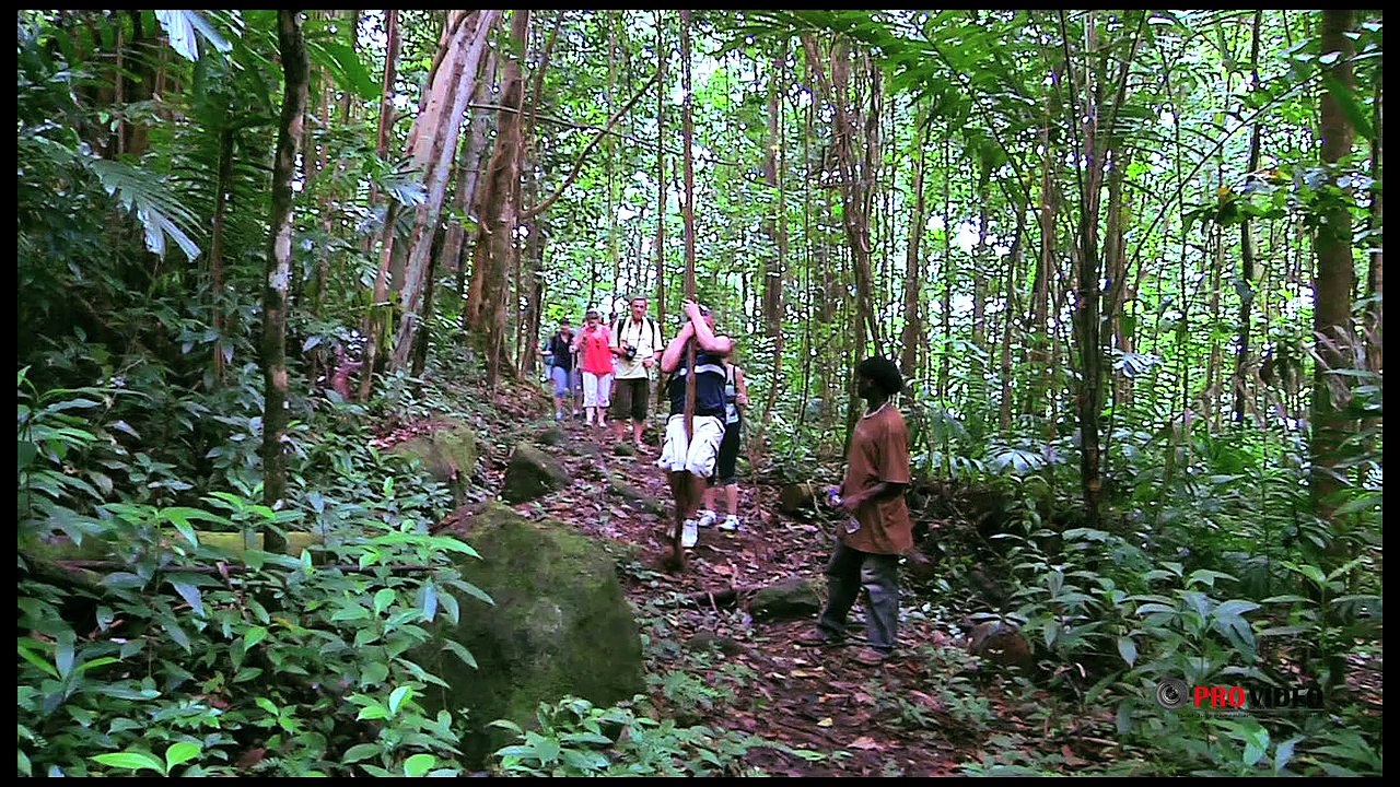 Saint Lucia by Provideo