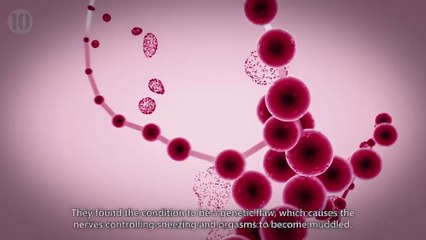 TOP 10 FACTS ABOUT WOMEN ORGASM