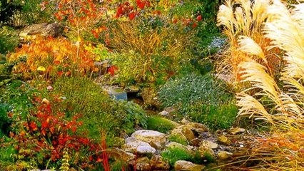 Красивые садовые композиции