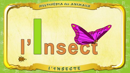Multipédia des animaux. La lettre I lInsecte