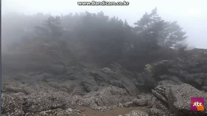 #스포츠 토토 솔루션 카톡:haricuty 스카이프:haricuty