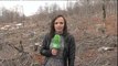 Prerja e pyjeve vazhdon; dëmtime masive në Shëbenik - Top Channel Albania - News - Lajme