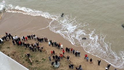 Le départ d'Harmony of the Seas depuis le 9e étage d'un immeuble