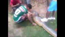 pitbull yiyen anakonda Anaconda killed a pitbull