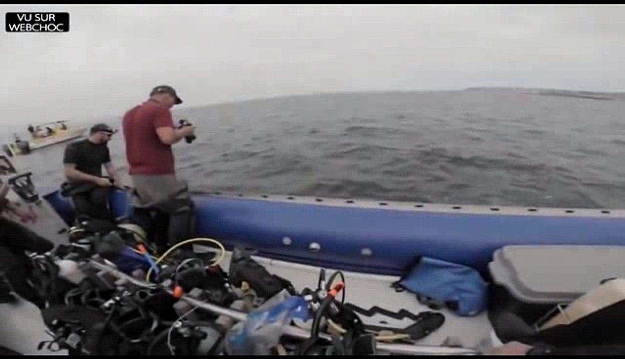 Un requin s'attaque au bateau pneumatique de touristes