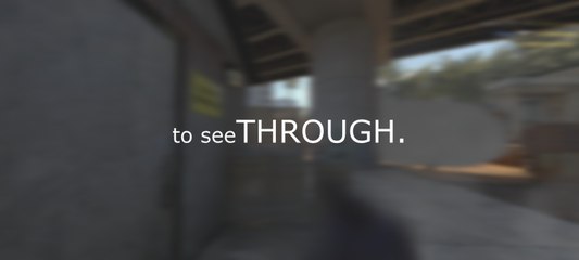 to see THROUGH. by zool (99Damage Video Contest#3)