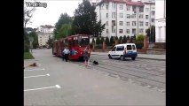 A lazy dog lying in the tracks does not want to move for this tram