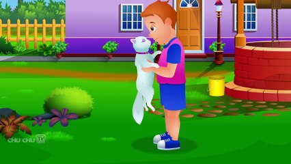 Ding Dong Bell Nursery Rhyme   Popular Nursery Rhymes For Children by ChuChuTV