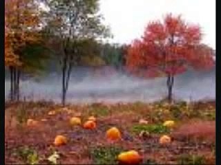 Charlie Brown-The Great Pumpkin Waltz