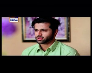 Gudiya Rani Episode 178 on Ary Digital P2