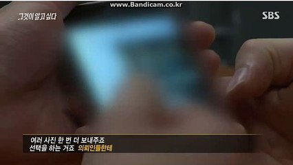 #믿을수있는 스포츠 토토 솔루션 BKSOFT 비케이솔루션 입니다 카톡: haricuty스카이프:haricuty