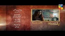 Pakeeza Episode 06 Promo HD HUM TV Drama 10 Mar 2016